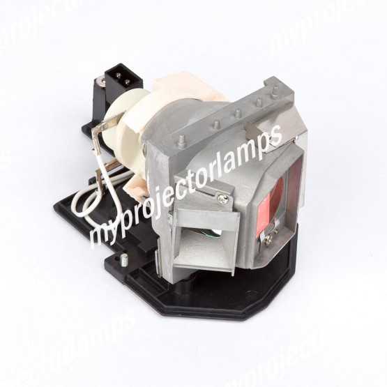 Optoma BL-FP240C Projector Lamp with Module