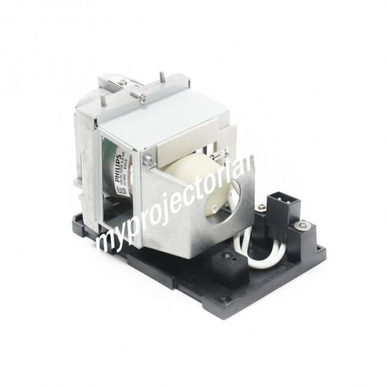 Smartboard U100w Projector Lamp with Module