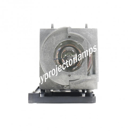 Smartboard U100w Projector Lamp with Module