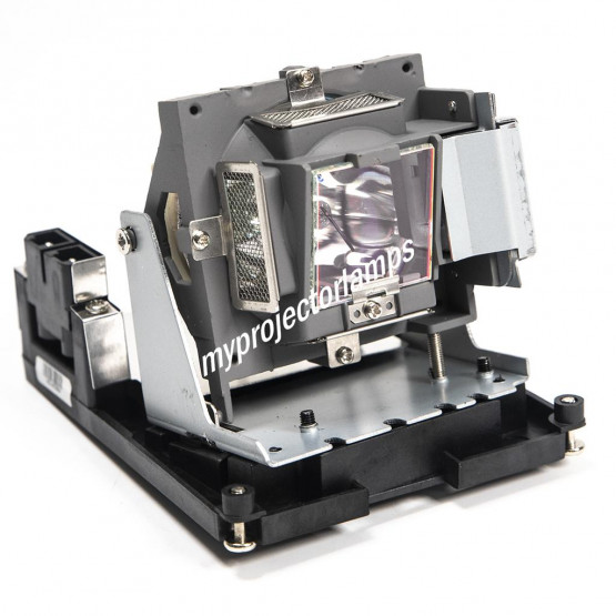 Benq 5J.JA705.001 Projector Lamp with Module