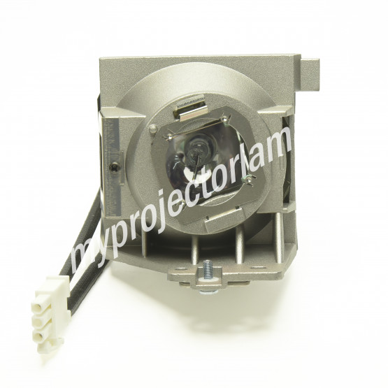 Viewsonic PS501W Projector Lamp with Module