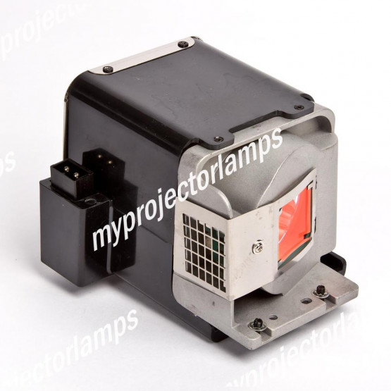 Viewsonic RLC-051 Projector Lamp with Module
