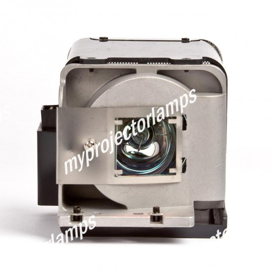 Viewsonic RLC-051 Projector Lamp with Module