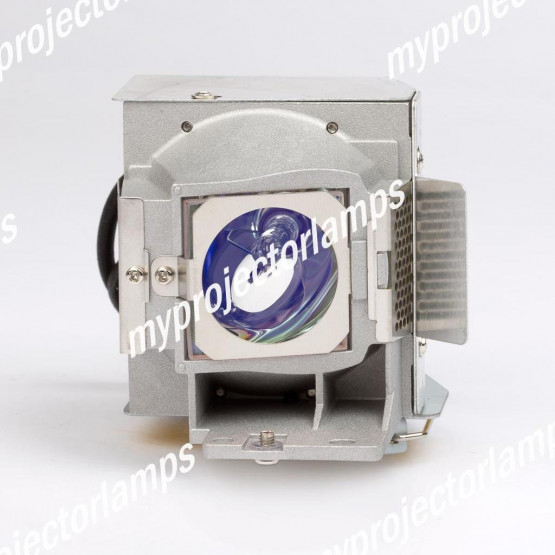 Viewsonic PJD5226 Projector Lamp with Module