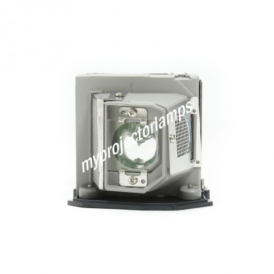 Panasonic PT-LX300 Projector Lamp with Module