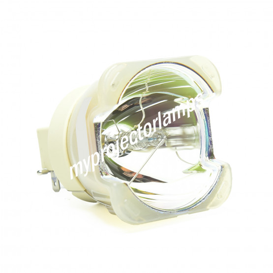 Bare Projector Lamp