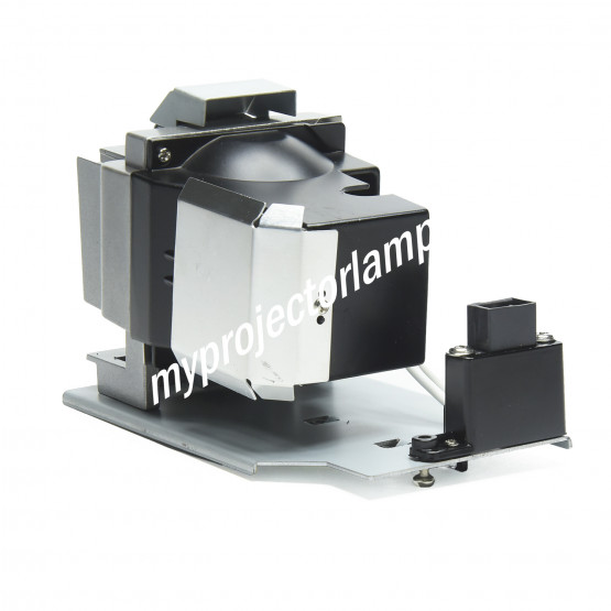Vivitek D871ST Projector Lamp with Module