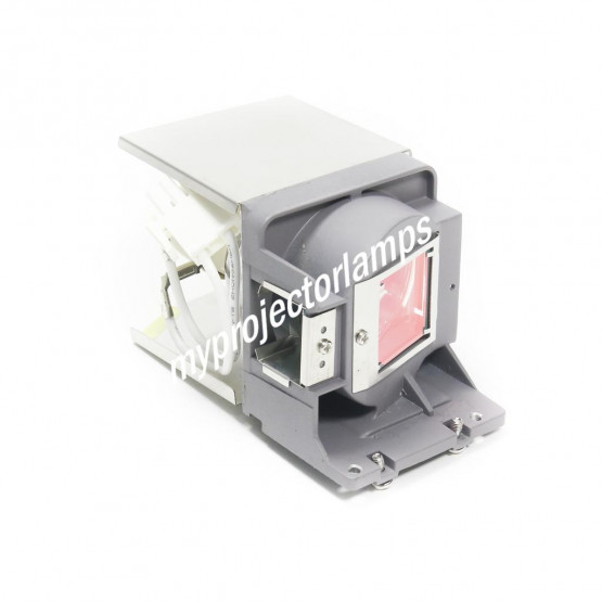 Acer MC.JLE11.001 Projector Lamp with Module