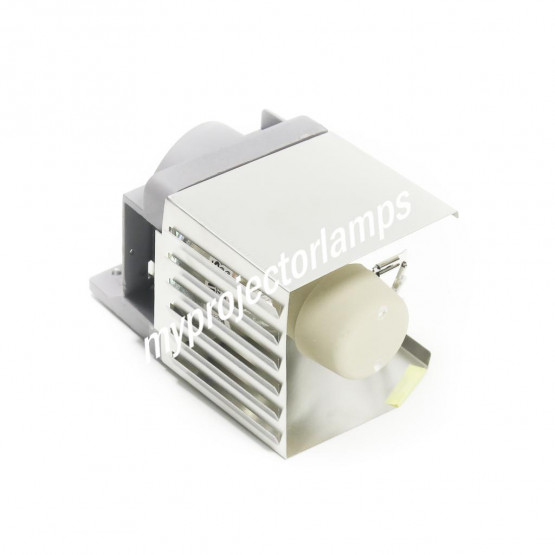 Acer MC.JLE11.001 Projector Lamp with Module
