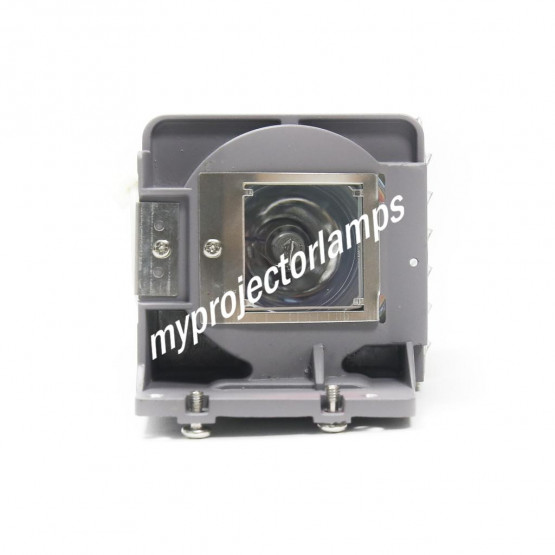 Acer MC.JLE11.001 Projector Lamp with Module