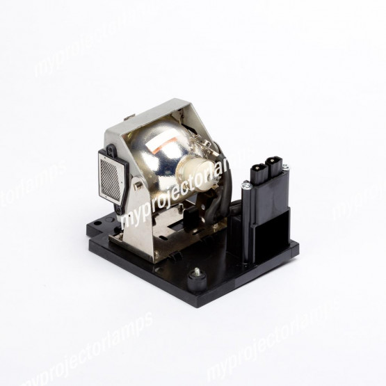 Eiki EIP-4500L (RIGHT) Projector Lamp with Module