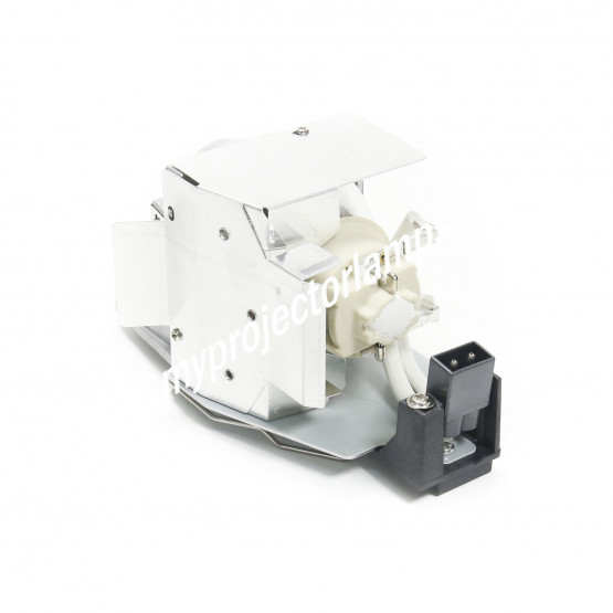 Acer MC.JKY11.00D Projector Lamp with Module