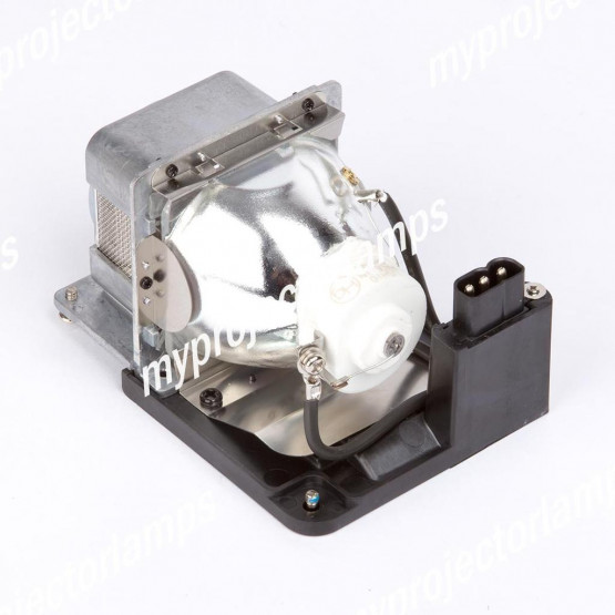 Viewsonic RLC-019 Projector Lamp with Module