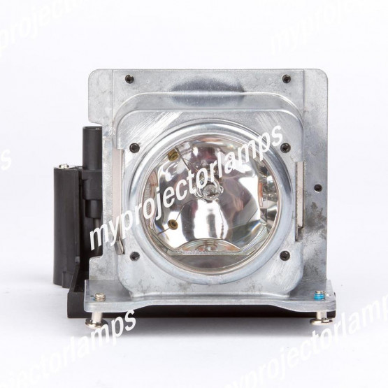 Viewsonic RLC-019 Projector Lamp with Module