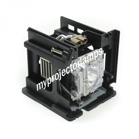 Infocus SP-LAMP-073 Projector Lamp with Module