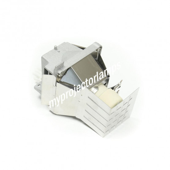 Acer MR.JLS11.002 Projector Lamp with Module
