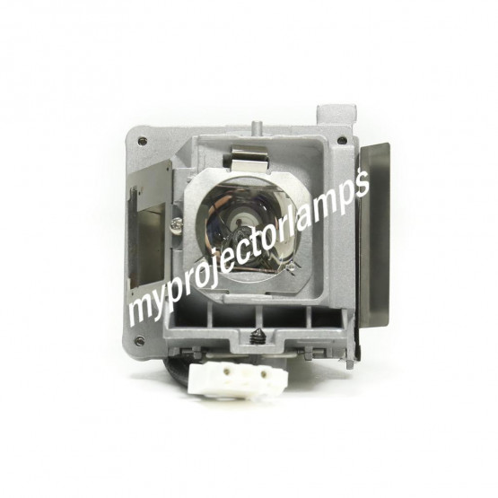 Acer MR.JLS11.002 Projector Lamp with Module