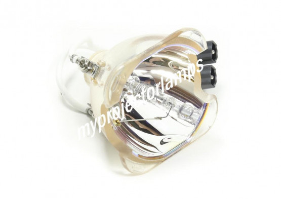 Bulbo/Foco para proyector High End Systems R782037-03 (Lámpara singular)