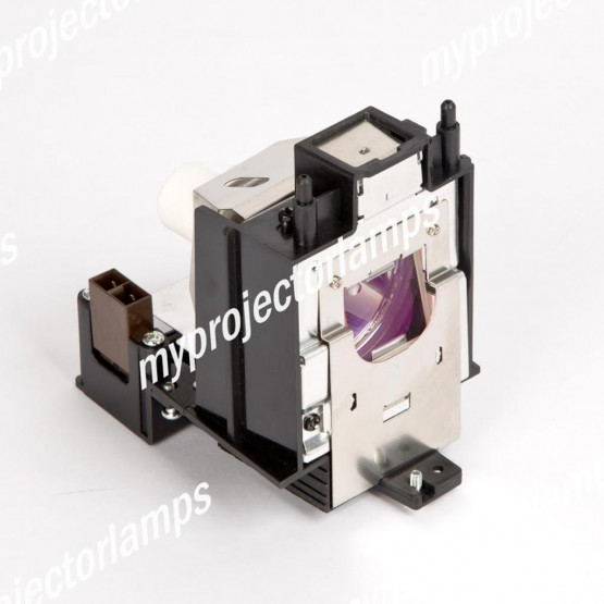 Eiki EIP-D450 Projector Lamp with Module