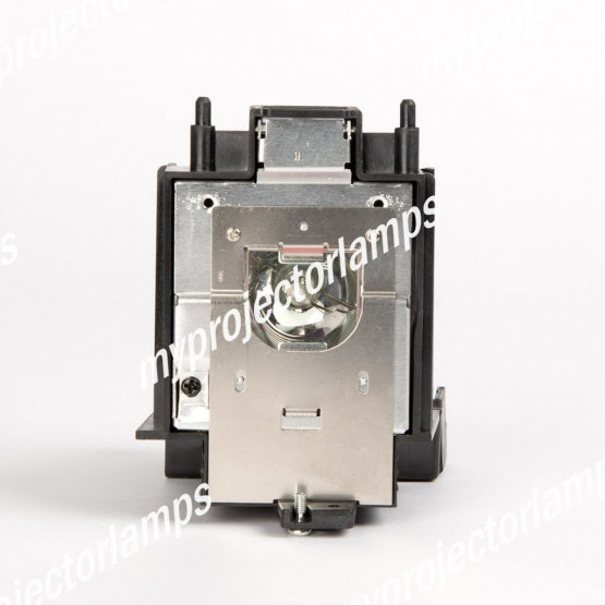Eiki EIP-D450 Projector Lamp with Module