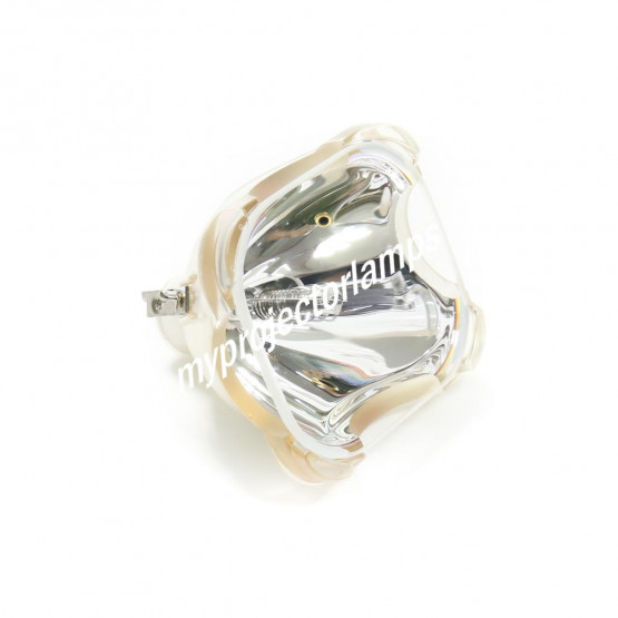 Bare Projector Lamp