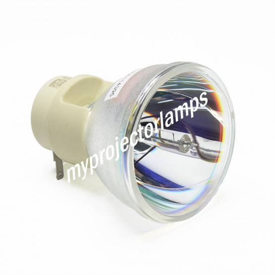 Bare Projector Lamp