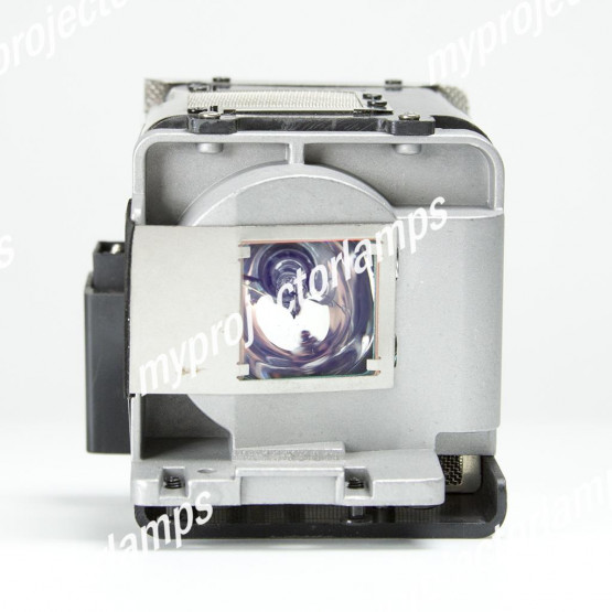 Viewsonic PRO8200 Projector Lamp with Module