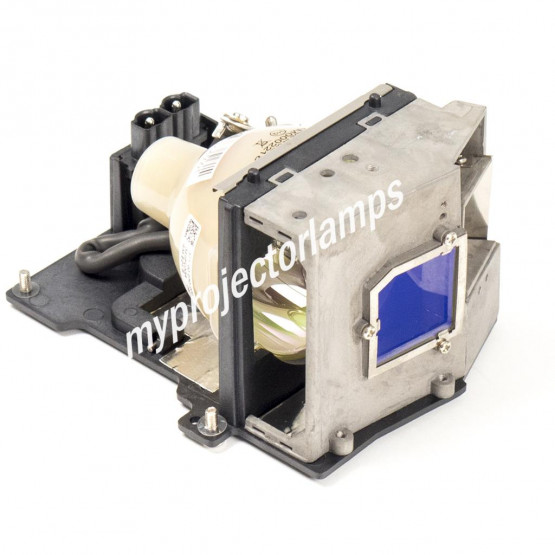 Optoma BL-FU250D Projector Lamp with Module