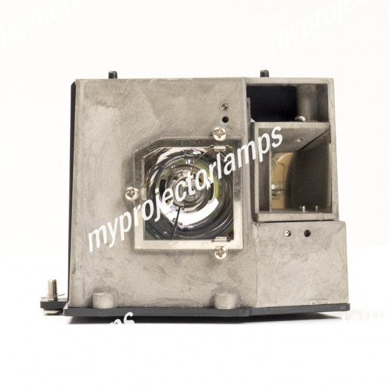 Optoma BL-FU250D Projector Lamp with Module