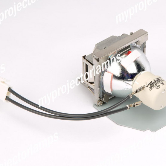 Viewsonic PJD5111 Projector Lamp with Module
