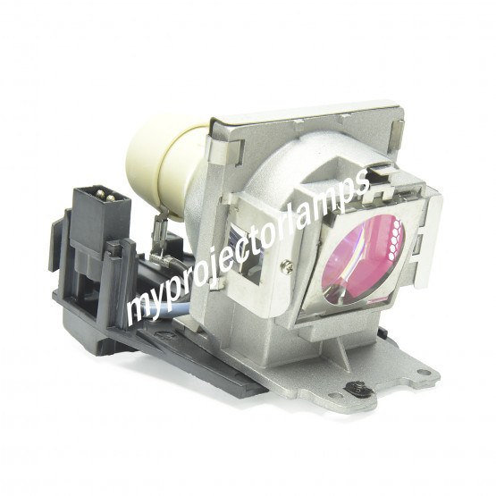 Benq MP623 Projector Lamp with Module