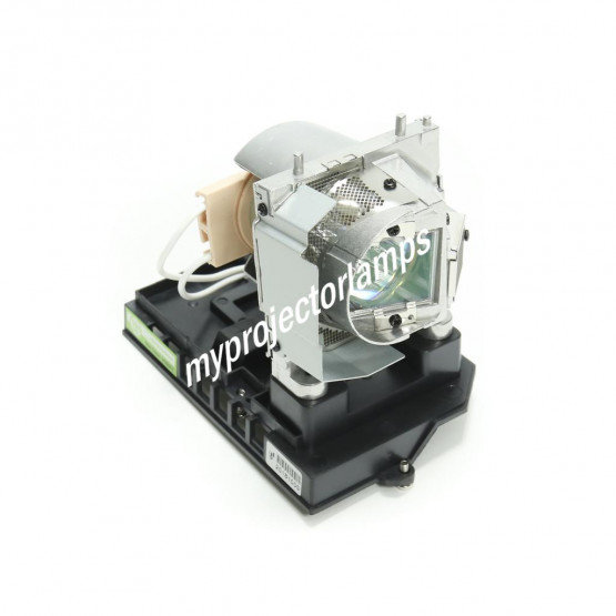 Optoma BL-FP230G Projector Lamp with Module