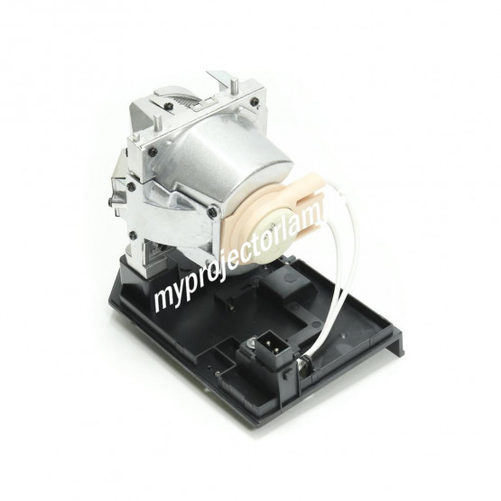 Optoma BL-FP230G Projector Lamp with Module