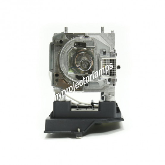 Optoma BL-FP230G Projector Lamp with Module