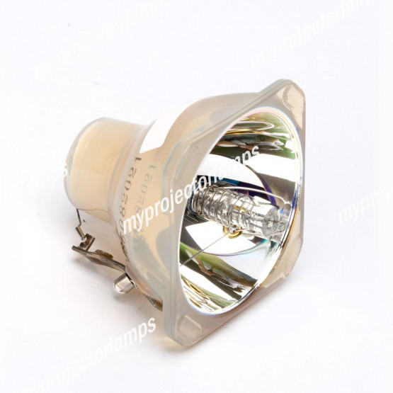 Bare Projector Lamp