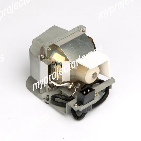Viewsonic PJ206D Projector Lamp with Module