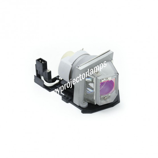 Optoma DS211 Projector Lamp with Module