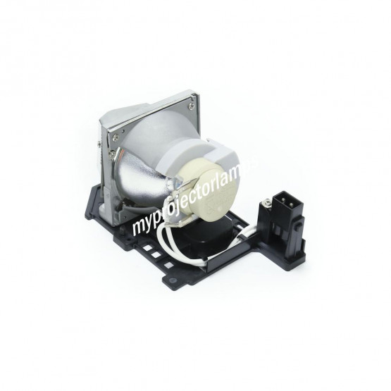 Optoma DS211 Projector Lamp with Module