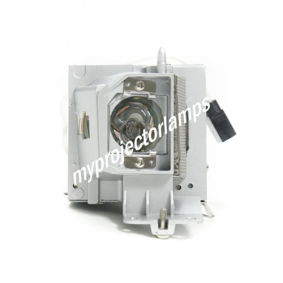 Dell 4350 Projector Lamp with Module