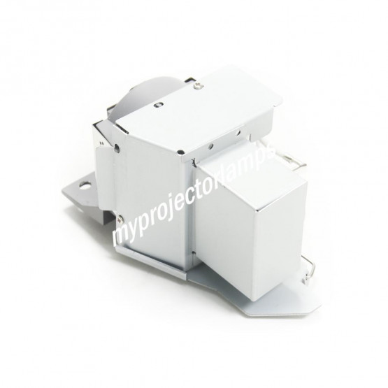 Acer MC.JGR11.001 Projector Lamp with Module
