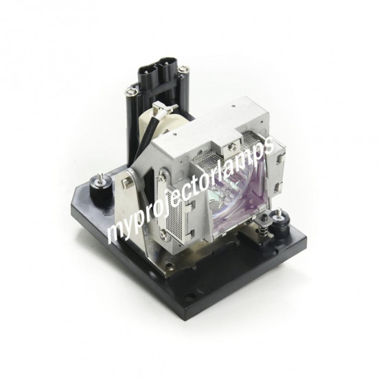 L├ímpara para proyector con carcasa Digital Projection 116-380