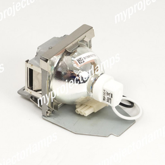 Viewsonic PJD5221 Projector Lamp with Module