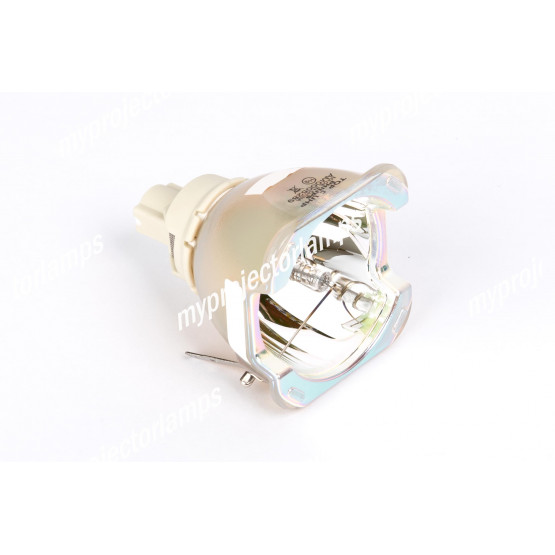 Bulbo/Foco para proyector