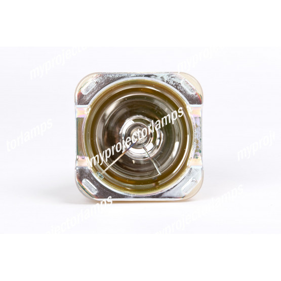 Bulbo/Foco para proyector Digital Projection Titan1080P-800