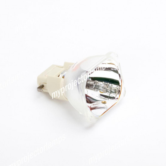 Bare Projector Lamp