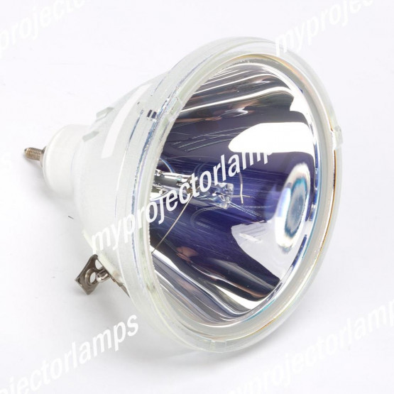 Synelec ID multi 50 (Einzellampe) Lampe - Projektorbirne