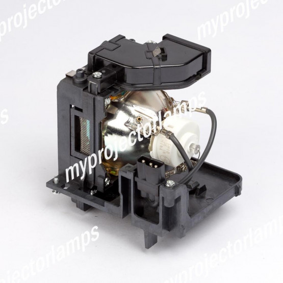 Panasonic PT-CX200 Projector Lamp with Module