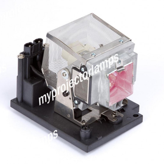 Eiki EIP-5000L (RIGHT) Projector Lamp with Module