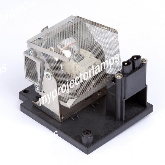 Eiki EIP-5000L (RIGHT) Projector Lamp with Module