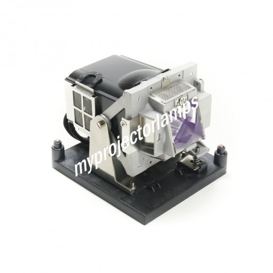 Vivitek D7180 Projector Lamp with Module